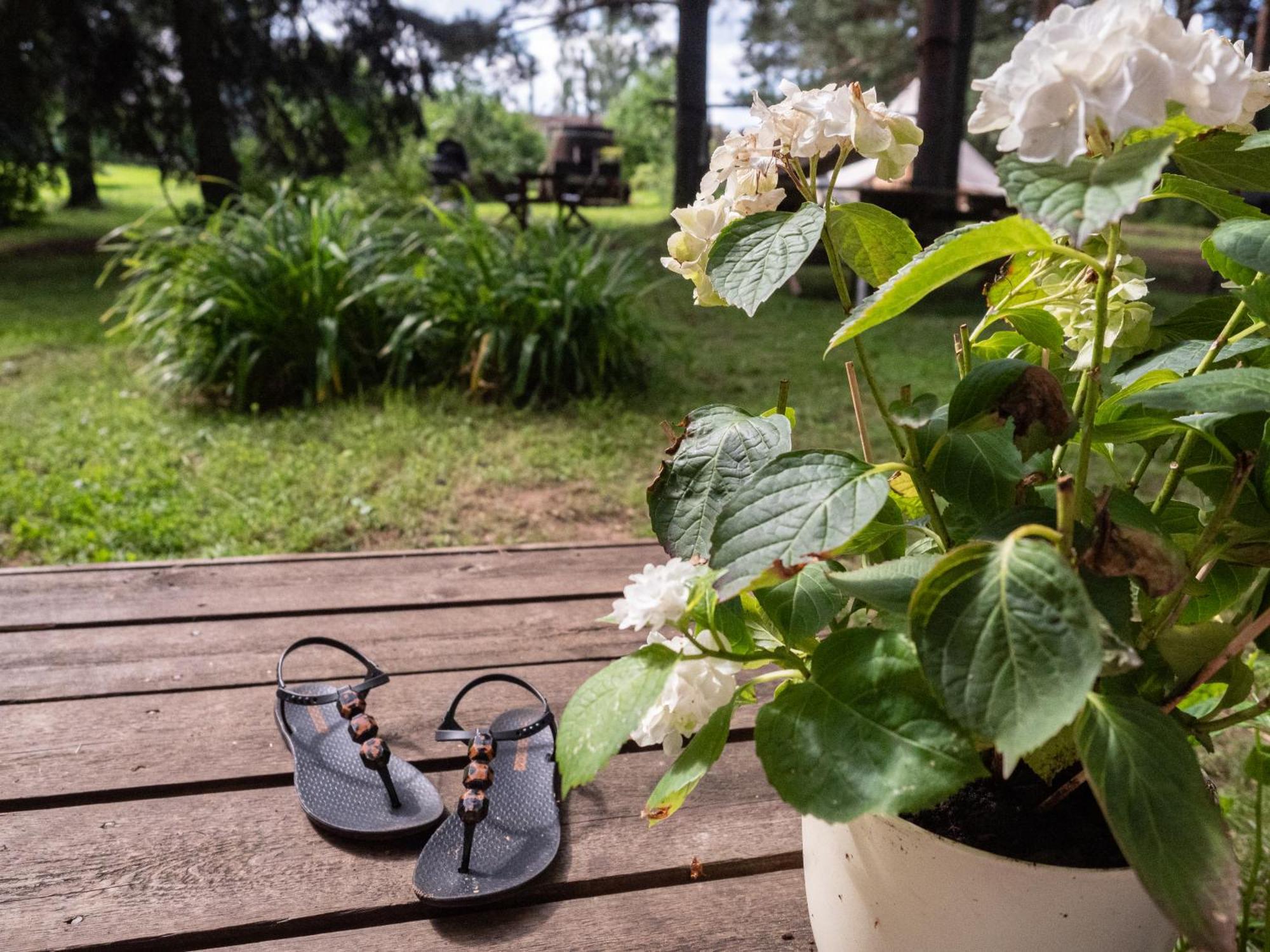Mereaeaere Glamping Ja Rannamaja Liimala Exterior foto
