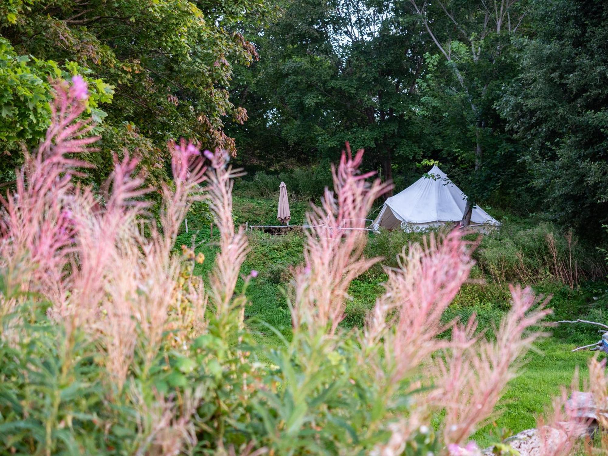 Mereaeaere Glamping Ja Rannamaja Liimala Exterior foto